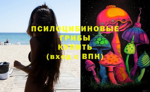 2c-b Алзамай