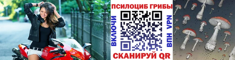 Галлюциногенные грибы MAGIC MUSHROOMS  Бобров 